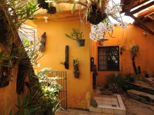 an orange house with plants on the wall at Pousada Ritmo Natureza in São Thomé das Letras
