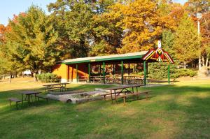 Arrowhead Camping Resort Park Model 10 في Douglas Center: مجموعة من طاولات النزهة في الحديقة