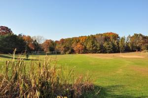 a large grass field with trees in the background at Arrowhead Camping Resort Park Model 10 in Douglas Center