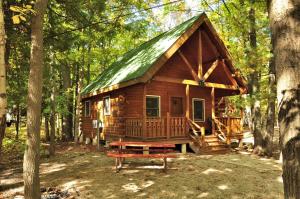 a log cabin with a green roof in the woods at Tranquil Timbers Deluxe Cabin 6 in Sturgeon Bay