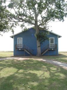 una casa azul con un árbol delante en Virginia Landing Camping Resort Cabin 2, en Quinby