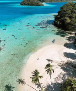 an island with palm trees on a beach at Hiva's Place climatisé terrasse vue sur mer -Huahine in HUH