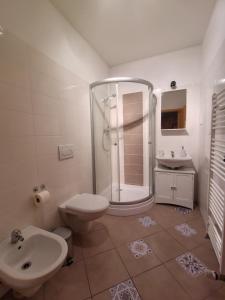 a bathroom with a shower and a toilet and a sink at Penzion Nad Kašnou in Kašperské Hory
