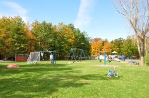 a park with two swings and a bike in the grass at Tranquil Timbers Park Model 7 in Sturgeon Bay +6 photos