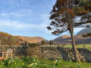 a stone wall with a chair and a tree at The Green in Lochranza +7 photos