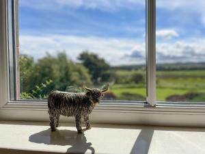 a toy animal standing in front of a window at Pine Cottage - Dalcross in Dalcross