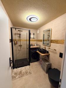a bathroom with a shower and a sink at The Boutique Suite - Schaanwald in Schaanwald +32 photos