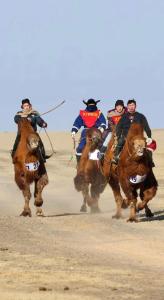 a group of people riding horses in the desert at Chimgee's Guesthouse & Gobi Tours in Dalandzadgad