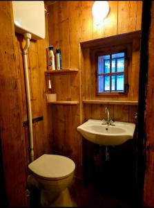 a bathroom with a toilet and a sink at FLICHTLHOF Hütte in Abtenau +51 photos