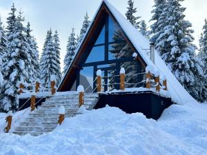 a cabin in the snow with snow covered stairs at ALTURA Chalet in Muntele Băişorii