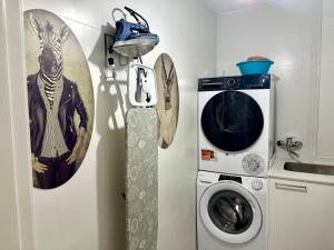 a wall with a snowboard next to a washing machine at Brisa Marela in Sanxenxo