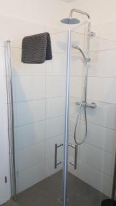 ゼーンデにあるApartment Bilmのバスルーム(ガラスドア付きのシャワー付)