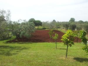A garden outside B&B La Gufa