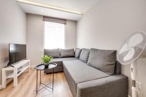 a living room with a couch and a tv at Central Platinum Apartments 15 in Rybnik