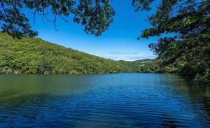 a view of a lake in the middle of a forest at Gîte de Malavals in Castelnau-de-Mandailles +1 photo