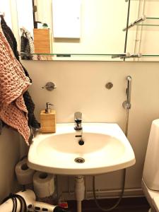 a bathroom with a white sink and a mirror at Luhtitalo two-room apartment in Rovaniemi