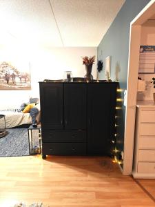 a black cabinet in a living room with lights at Luhtitalo two-room apartment in Rovaniemi