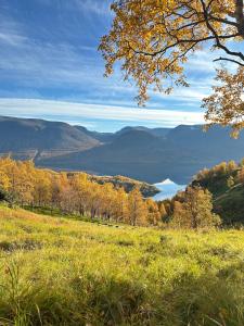 a view of a field with trees and a lake at Cabin in Tappeluft in Alta