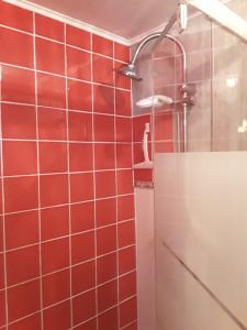 a bathroom with red tiles and a shower at La Guerandelle in Ernes +7 photos