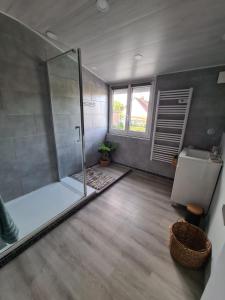 a bathroom with a shower and a toilet and a sink at Les malices d'Ulysse in Péronne +8 photos