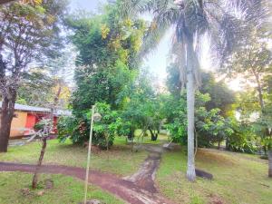 a dirt road in a park with palm trees at Complejo de Apartamentos parque naturaleza in Encarnación