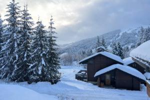 a cabin covered in snow with trees and mountains at Le Chalet de Nabor in Les Gets