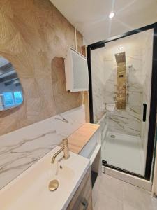 a bathroom with a sink and a shower at studio Saphyr in Souillac
