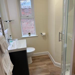 a bathroom with a toilet and a sink and a shower at Town Centre - 22 Billet Street in Taunton