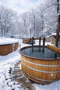 a hot tub in a snow covered yard at Penates Aparthotel in Koropovo