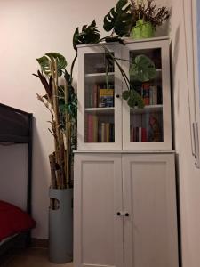 a white cabinet with plants on top of it at Sakura B&B Franciacorta in Cologne
