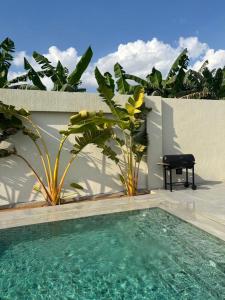 a swimming pool in front of a wall with plants at SS Resorts - Private Luxury Villa in Hatta