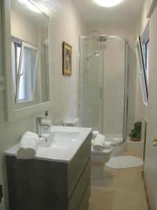 a bathroom with a sink and a shower and a toilet at Ático con terraza en la Jota in Zaragoza