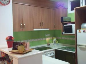 una cocina con paredes verdes y armarios de madera en Apartamento Gerard, en Riumar