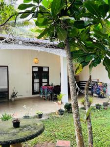 a house with a palm tree in the yard at Lagoon Home Stay in Ahangama