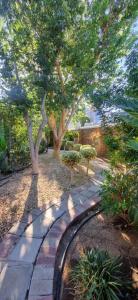a garden with trees and a stone walk way at 14th on West in Graaff-Reinet