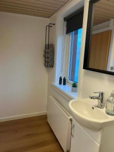 a bathroom with a sink and a mirror and a window at The Cozy red house with Amazing sea view in Morskranes +51 photos