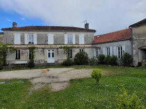a dog standing in front of an old house at Lieu charmant in Gimeux
