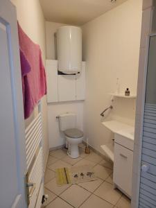 a small bathroom with a toilet and a sink at Lieu charmant in Gimeux +11 photos