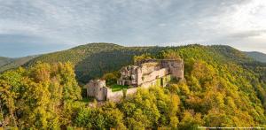 an old castle on top of a hill with trees at Pfalzliebe in Rinnthal