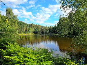 a large lake with trees in the background at Littledean House Hotel in Cinderford