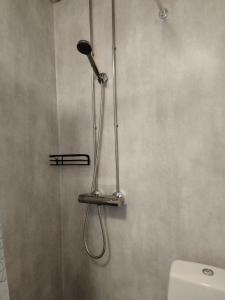 a shower with a shower head in a bathroom at Björktorpet och Soltorpet in Lepplax +58 photos