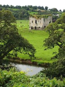 an old castle in the middle of a green field at The Tower House B&B in Thomastown