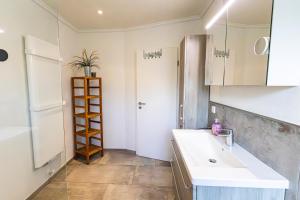 a small kitchen with a sink and a shelf at Appartement Dorfluft in Böhl +22 photos