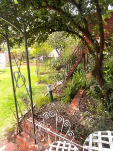 a garden with a bench next to a tree at Otista Self-Catering Cottage Bloemfontein in Bloemfontein