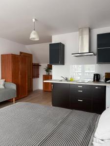 a room with a kitchen and a bed in it at Pokoje Pod Kasztanami Jantar in Jantar