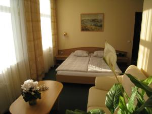 a bedroom with a bed and a desk at Livonija in Sigulda