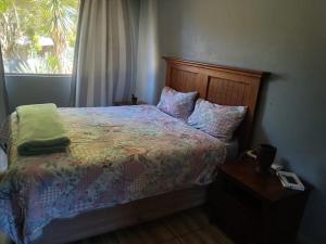 ein Schlafzimmer mit einem Bett und einem Fenster in der Unterkunft Ibokwe homested in Hillandale