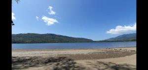 a group of animals standing on the shore of a lake at Arche Noah in Kalabahi +6 photos
