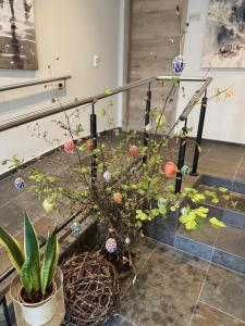 a potted plant sitting on the floor next to a staircase at Weinbergs Loge in Ernst