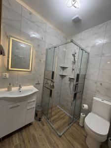 a bathroom with a shower and a toilet and a sink at Apartamenty w Kotlinie in Lądek-Zdrój +27 photos